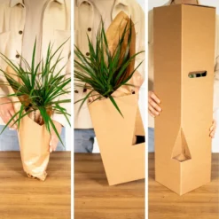 Tillandsia Et Son Support En Cube - H35cm, ø20cm - Plante D'intérieur Tombante 9 Tillandsia Et Son Support En Cube - H35cm, ø20cm - Plante D'intérieur Tombante -Draußen Leben 1d4ca7b43168e807
