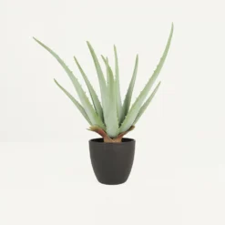 Draußen Leben 13 Aloe Vera Artificiel 35cm