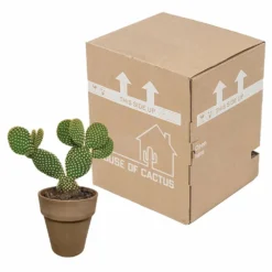 Opuntia Microdasys Et Son Cache-pot Marron - H40cm, ø17cm - Plante D'intérieur 7 Opuntia Microdasys Et Son Cache-pot Marron - H40cm, ø17cm - Plante D'intérieur -Draußen Leben 48d55715481eec9b