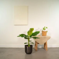 Draußen Leben 7 Draußen Leben -Draußen Leben 63e484af84d8f879