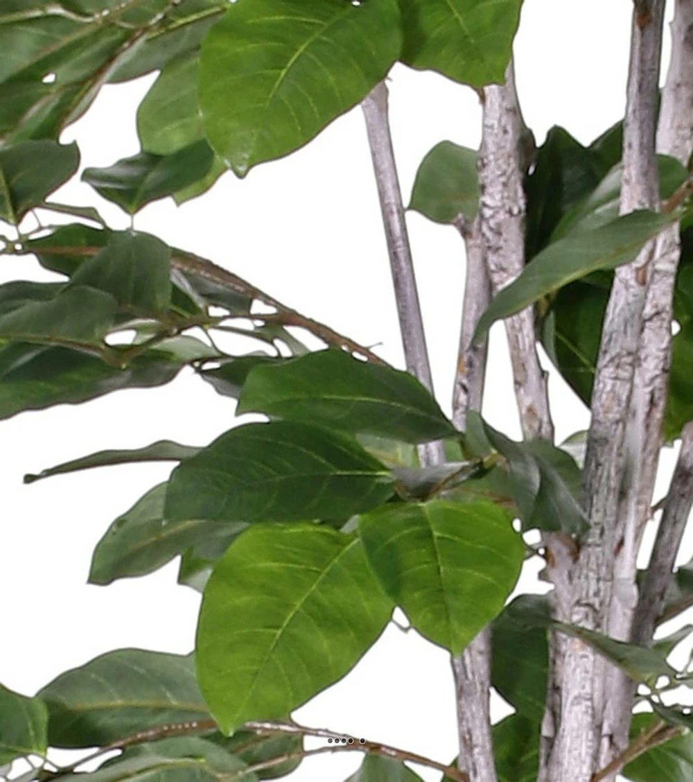 Figuier Des Banyans Artificiel 180 Cm 2 Figuier Des Banyans Artificiel 180 Cm – Image 2