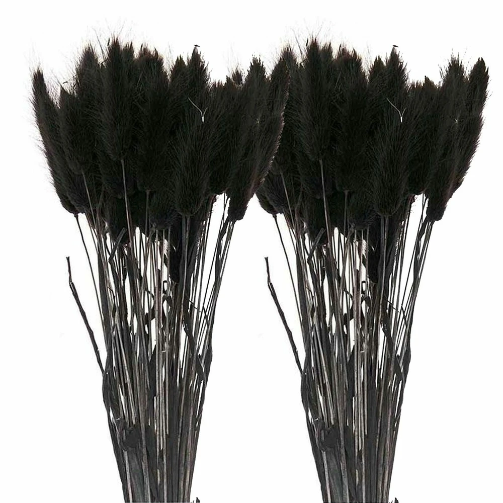 12 Tiges De Lagurus Séchés Noirs - 45 Cm 1 12 Tiges De Lagurus Séchés Noirs - 45 Cm