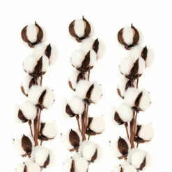 Draußen Leben 53 3 Branches De Coton Séché 10 Fleurs - 70 Cm