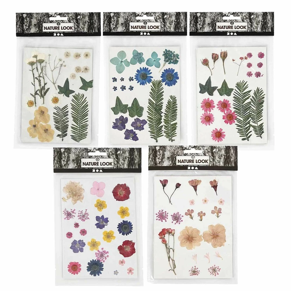 100 Fleurs Séchées Et Pressées Multicolores 2 100 Fleurs Séchées Et Pressées Multicolores – Image 2