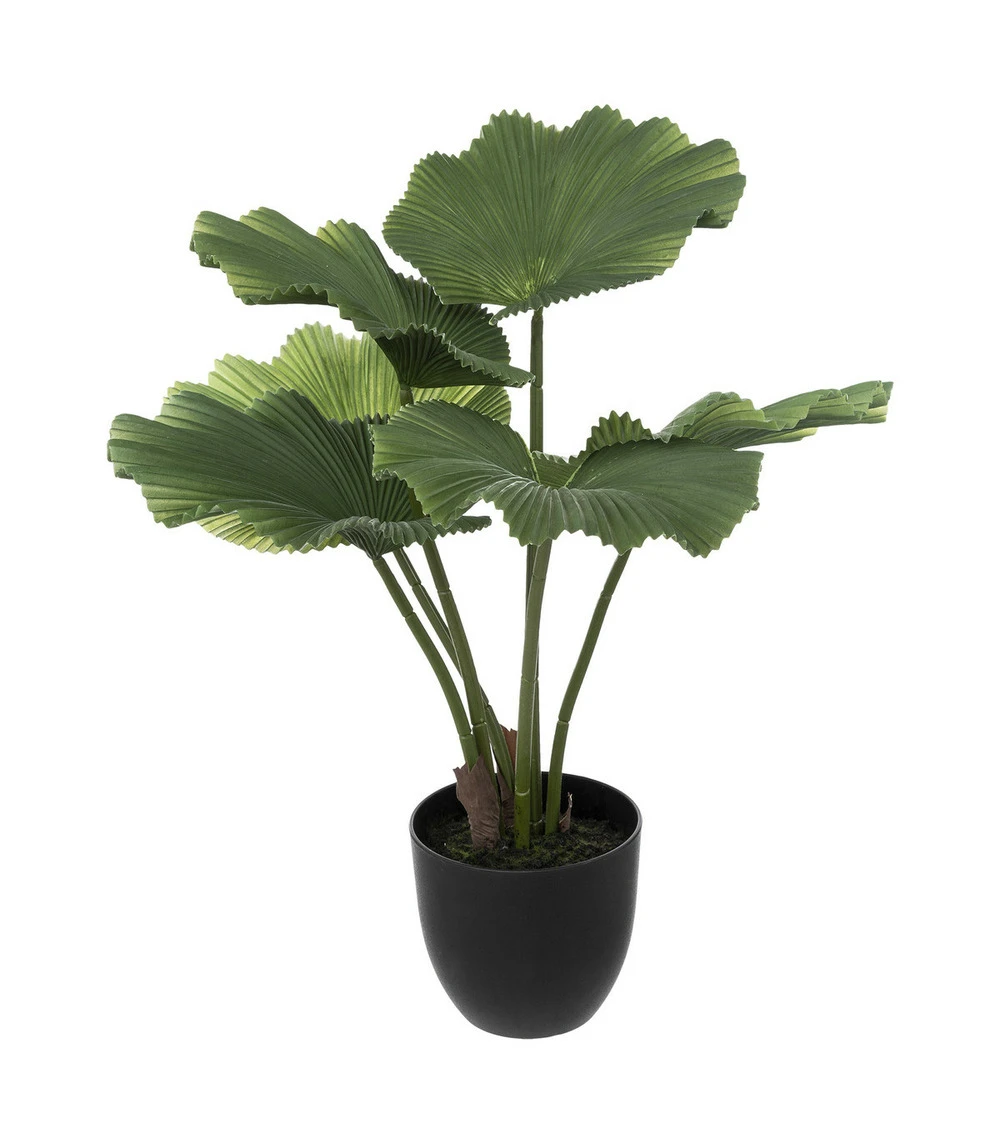 ATMOSPHERA Plante Artificielle Palmier En Pot H 65 Cm 1 ATMOSPHERA Plante Artificielle Palmier En Pot H 65 Cm
