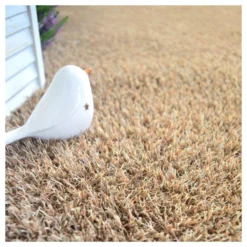 Gazon Synthétique Arty - Couleur Beige - 20mm - 1m X 4m