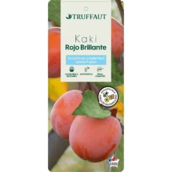 Kaki 'Rouge Brillant 1/2T Pot 15L 6 Kaki 'Rouge Brillant 1/2T Pot 15L -Draußen Leben 952752 002