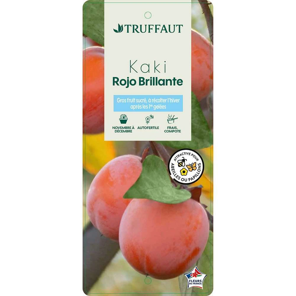 Kaki 'Rouge Brillant 1/2T Pot 15L 3 Kaki 'Rouge Brillant 1/2T Pot 15L – Image 3