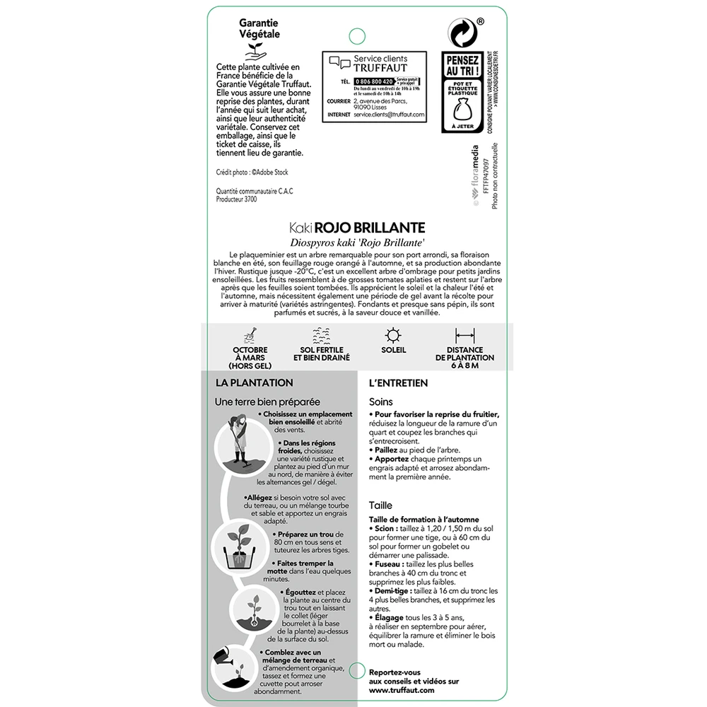 Kaki 'Rouge Brillant 1/2T Pot 15L 1 Kaki 'Rouge Brillant 1/2T Pot 15L
