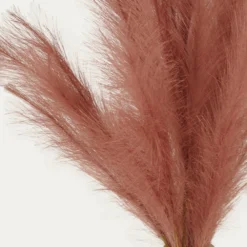 Plumeau Artificiel Terracotta 110cm Lot De 3 9 Plumeau Artificiel Terracotta 110cm Lot De 3 -Draußen Leben c4332bdda24780af