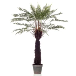 Emerald Arbre Artificiel De Fougère Dicksonia 125 Cm En Pot